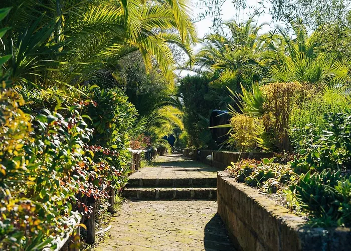 Lägenhetshotell Solemaremma 4*